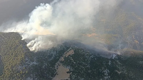 Alevlerle Nefes Kesen Mücadele! Antalya Kaş'ta Orman Yangını